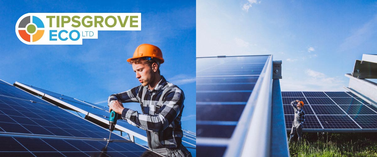 tipsgrove eco